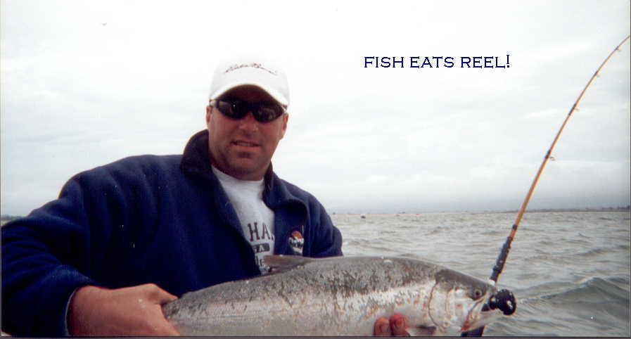 fish eats reel